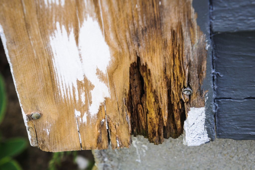 wood rot repair susanville